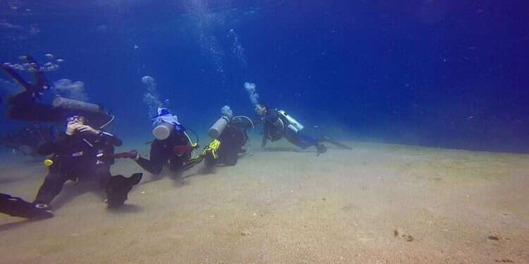 Divers take part in a project to save the coral reefs offshore of Eilat Israel charts the universe's last great frontier