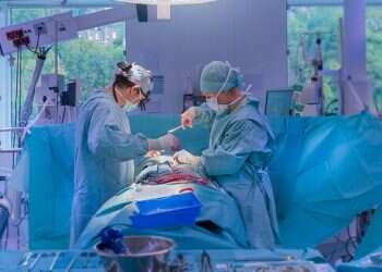 2019 sees record number of live-donor kidney transplants