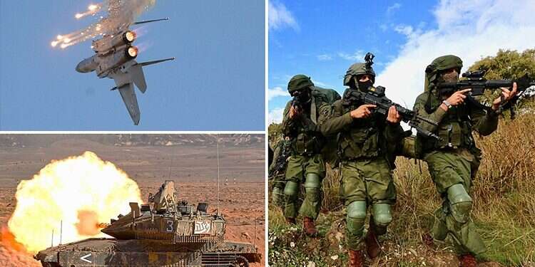 New multi-faceted IDF unit hailed as first of its kind in the world