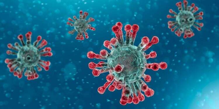 'Coronavirus can still be beaten, too early to declare pandemic'