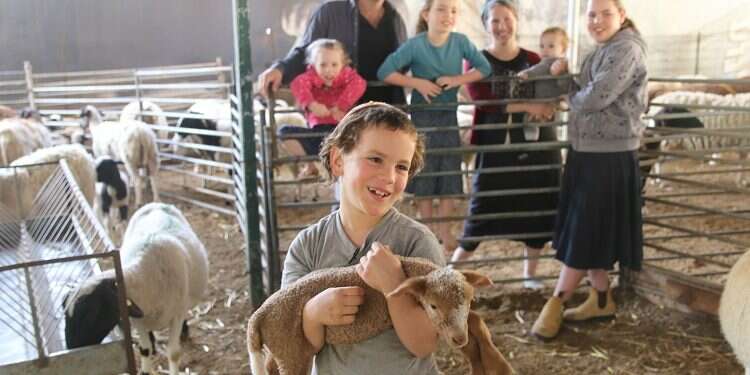 In 2020, pioneering and crowdfunding go hand in hand