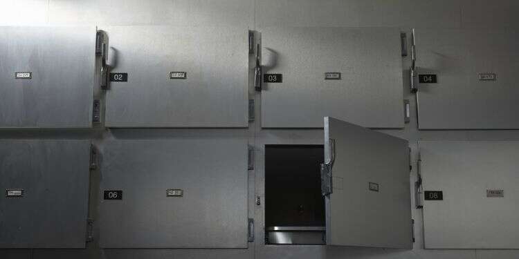 Full lockdown is the only way to avoid paying an incomprehensible price