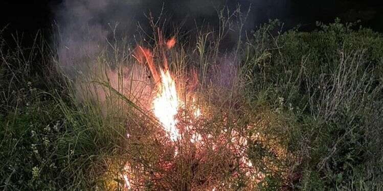 PM condemns 'criminal' settler attack on security forces