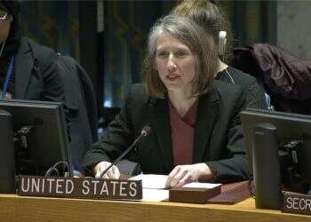 Pandemic cooperation proves Israeli-Palestinian peace talks possible, US diplomat says 