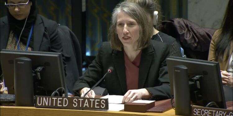 Pandemic cooperation proves Israeli-Palestinian peace talks possible, US diplomat says 