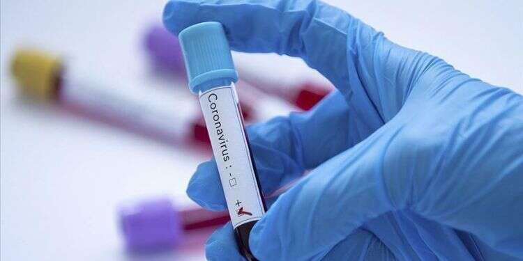 Syria confirms first coronavirus case as fears grow it could ravage war-torn country