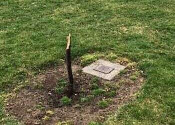 Anti-Semitism, incitement on the rise, official warns