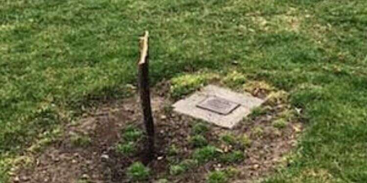 Anti-Semitism, incitement on the rise, official warns