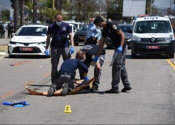 Police: Palestinian stabs Israeli woman, is shot by witness