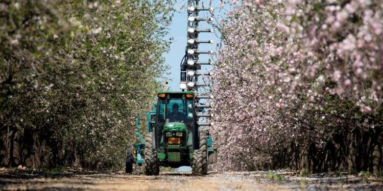 Mechanical pollinator helps Israeli farmers cope with declining bee population