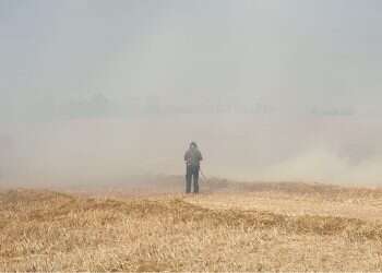 Spate of fires in western Negev identified as arson, but who set them?