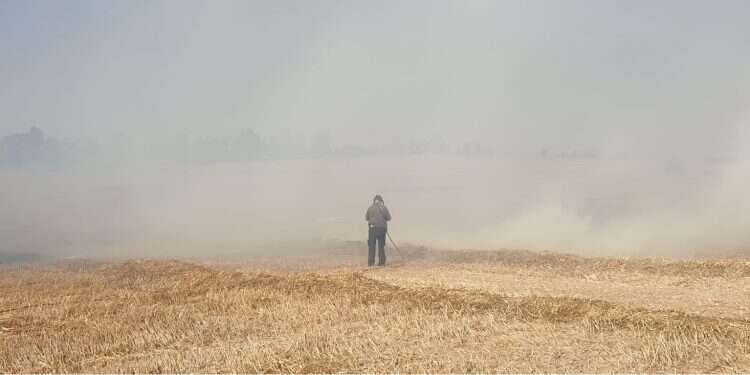 Spate of fires in western Negev identified as arson, but who set them?