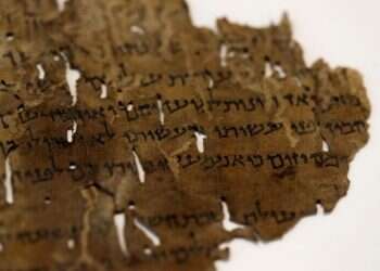 DNA testing of Dead Sea Scrolls hides could safeguard against forgeries