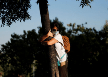 'The most basic human need is for connection, for touching, for hugging' Could hugging trees in Israel beat pandemic blues?