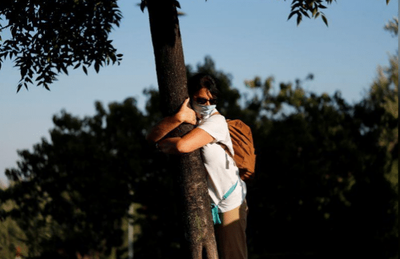 'The most basic human need is for connection, for touching, for hugging' Could hugging trees in Israel beat pandemic blues?