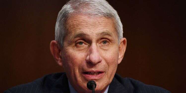 Tooth Fairy won't catch COVID-19, US health official assures 7-year-old