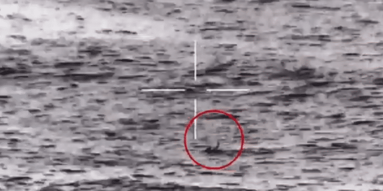 Watch: IDF sailors rescue Hamas defector at sea