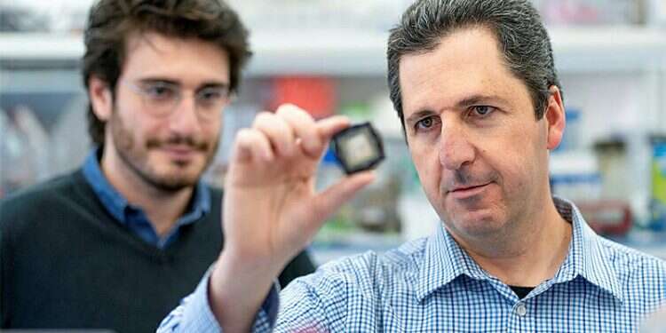 From mortal threat to a common cold: Has Hebrew U. scientist made a COVID breakthrough?