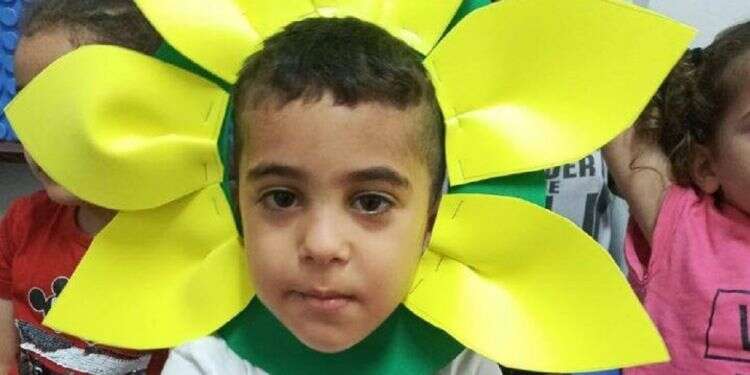 Boy, 4, dies after being left in car during heatwave