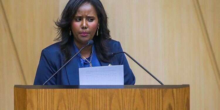 'An Ethiopian-only town? Not on my watch'   