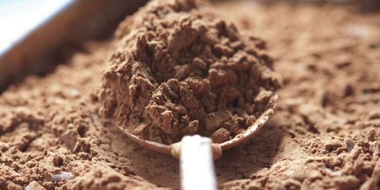 Snowing cocoa? Chocolate factory glitch dusts Swiss town