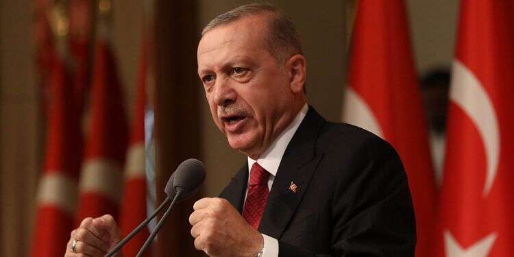 Did Turkey's Erdogan form an IRGC-like force?