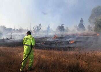 Arson terror from Gaza causes 14 fires in southern Israel