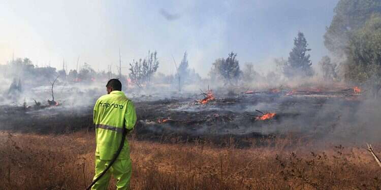 Arson terror from Gaza causes 14 fires in southern Israel