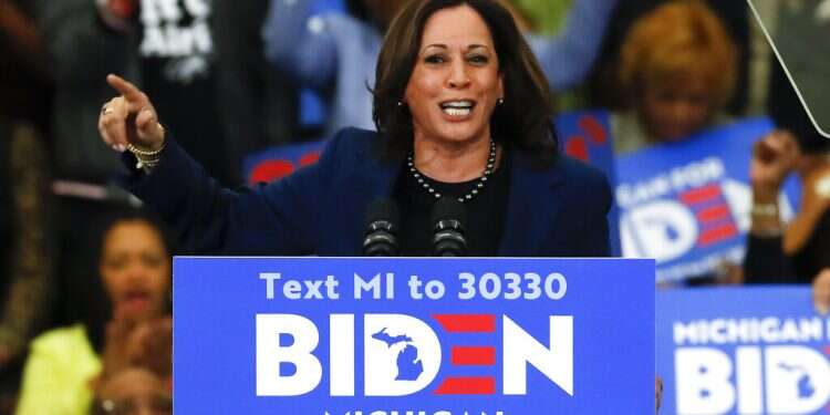 Biden picks Kamala Harris as Democratic running mate