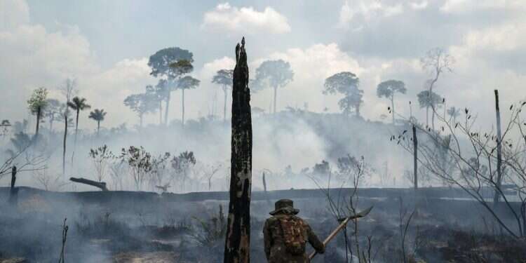 Amazon continues to burn in 2020 despite promises to save it