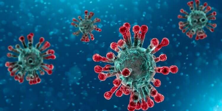 WHO warns coronavirus may bounce back