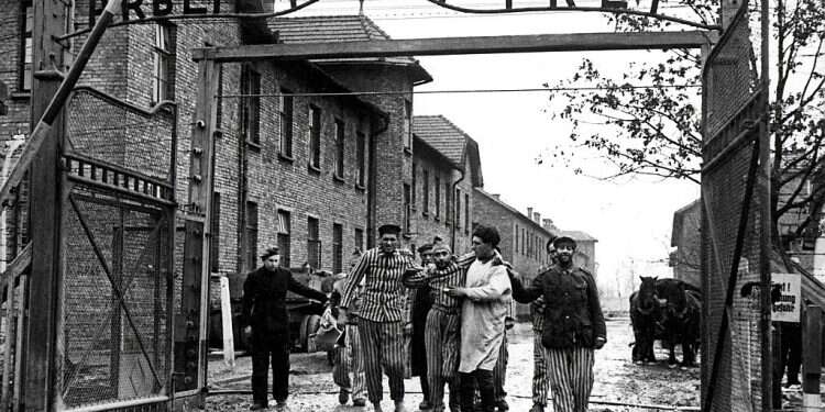 Concentration camp victims are led through the Auschwitz-Birkenau camp gate in 1945 COVID-19 brings back blood libel fears