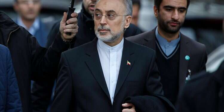 Iran relents on IAEA inspections at two sites