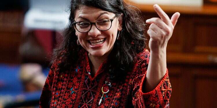 Rep. Rashida Tlaib wins Michigan primary, says 'Squad is here to stay'