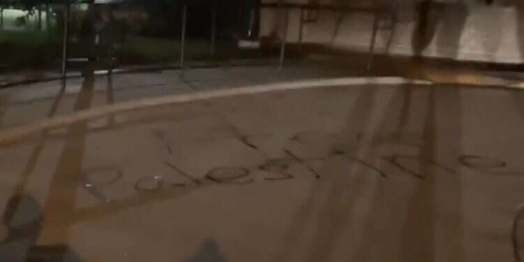 'Free Palestine' is spray-painted outside the synagogue Wisconsin synagogue vandalized with 'Free Palestine' amid riots