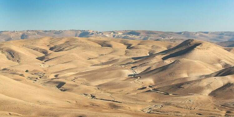 Israel, UAE eye joint environmental ventures