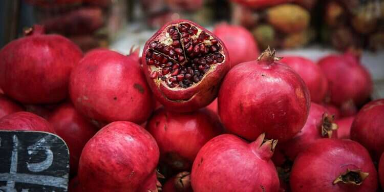 This year's Rosh Hashanah will be poignant US Surgeon General briefs Jewish leaders on best practices for High Holidays
