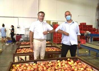 Oporto Jewish community lend's largest food bank in Israel a hand