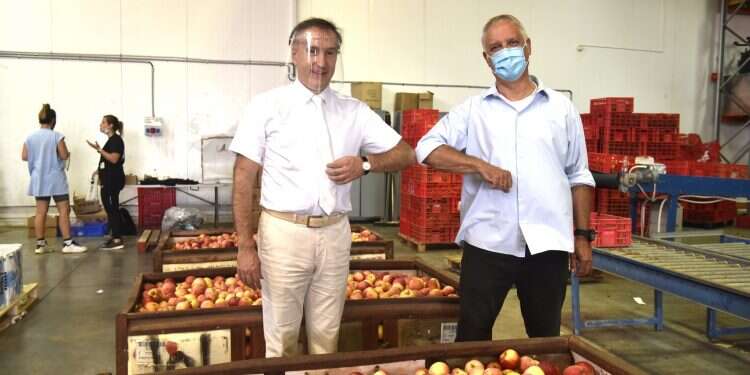 Oporto Jewish community lend's largest food bank in Israel a hand