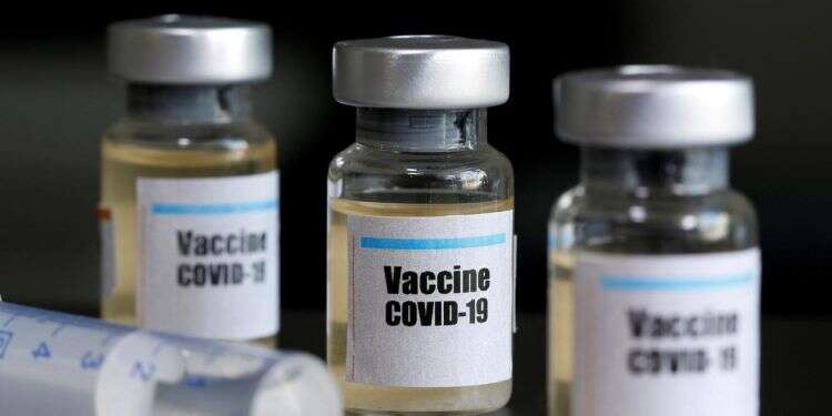 Poll: 20% of Israelis say will refuse to get coronavirus vaccine