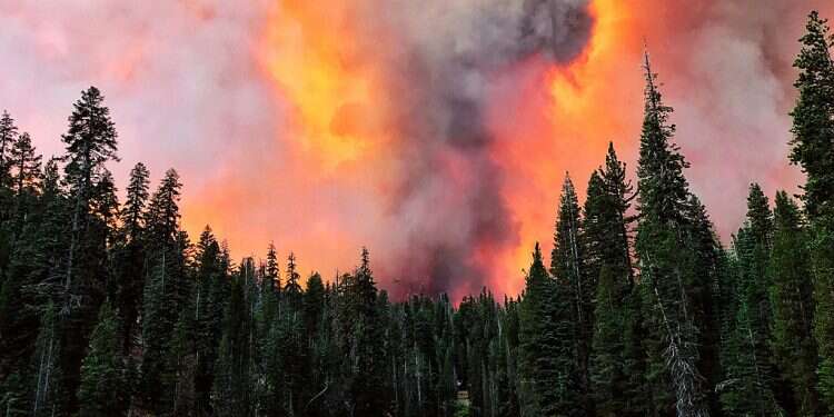 US wildfires scorch area the size of New Jersey