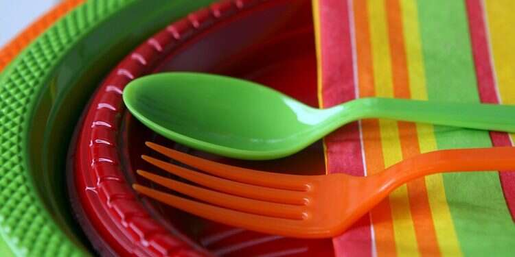 The government wants an end to plastic plates and utensils Government ministries declare war on plastic