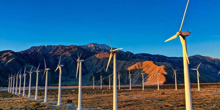 Plugging into green energy: Israeli private electricity firm moves into US market