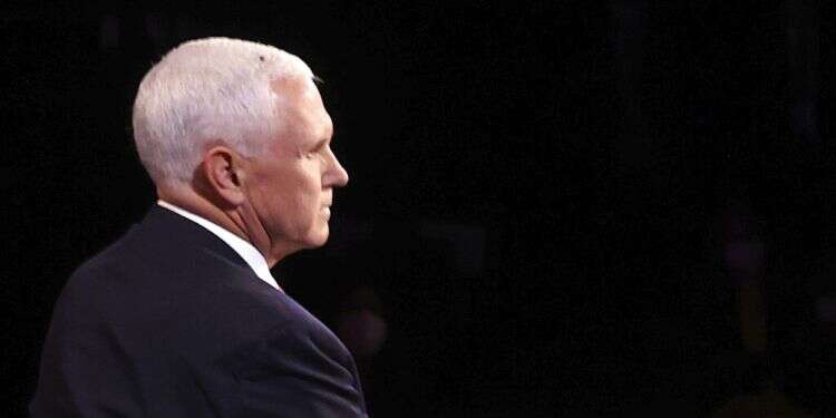 Fly becomes unlikely winner of US vice presidential debate