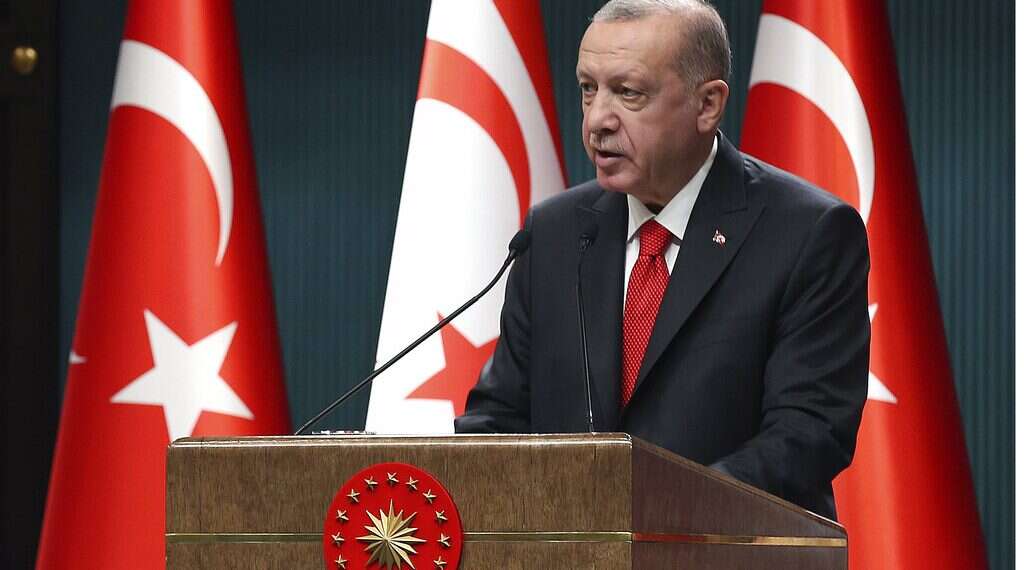 Israel blasts Erdogan's 'disgusting' comparison of Muslims in France to Jews in WWII