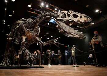 Remains of the day: Dinosaur skeleton fetches $3.5M in auction