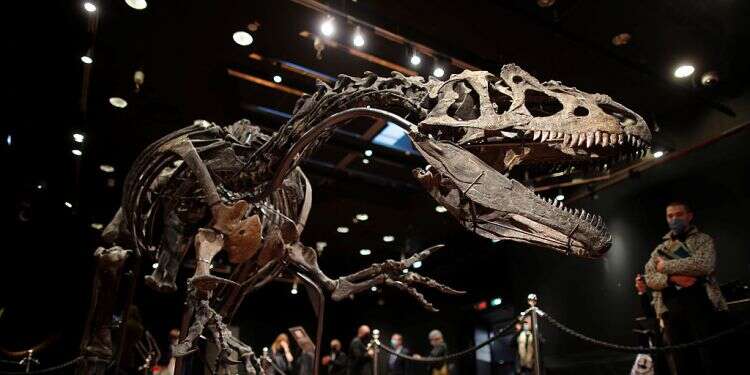 Remains of the day: Dinosaur skeleton fetches $3.5M in auction