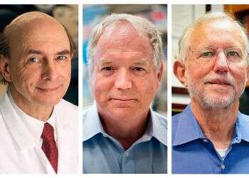 Jewish scientist, colleagues win Nobel Prize for hepatitis C discovery