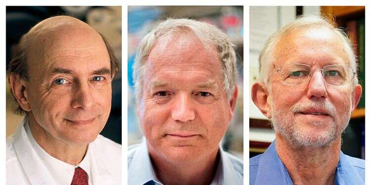 Jewish scientist, colleagues win Nobel Prize for hepatitis C discovery