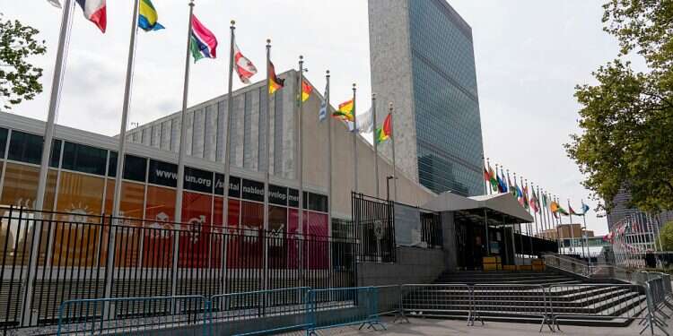 China and Russia win seats on UN rights council, Saudis lose